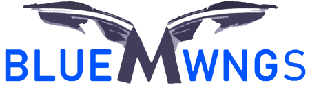 Blue Wngs Media